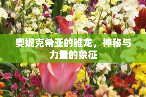 奥妮克希亚的雏龙图片