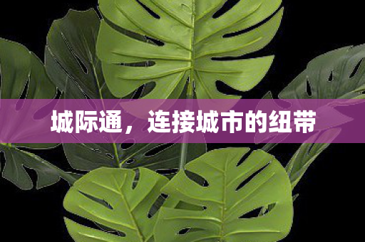 连接城市的纽带图片