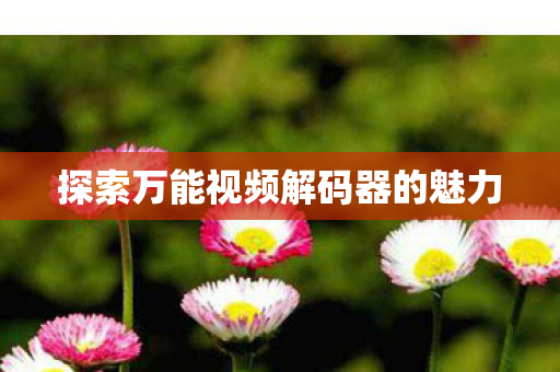 探索万能视频解码器的魅力图片