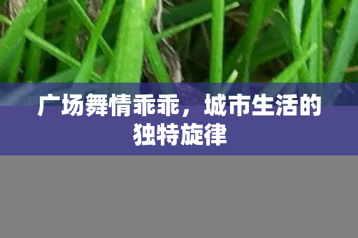 城市生活的独特旋律图片