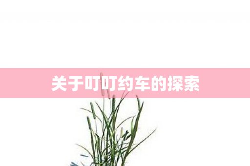 关于叮叮约车的探索图片