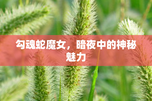 暗夜中的神秘魅力图片