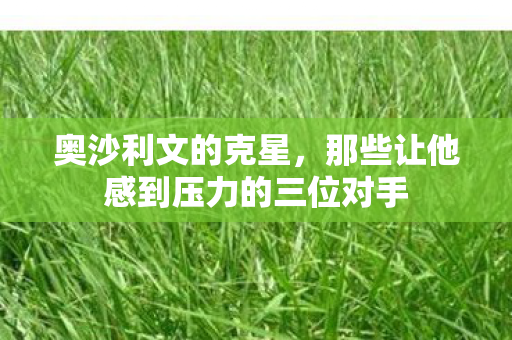 那些让他感到压力的三位对手图片