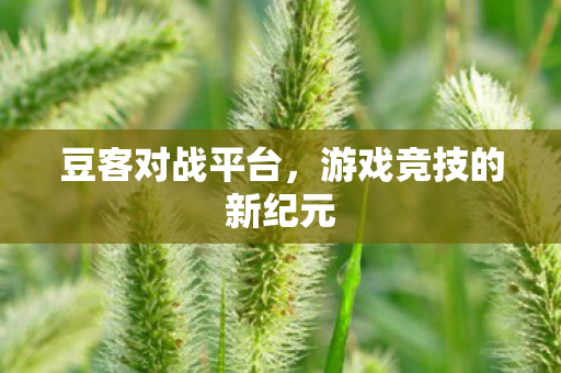 游戏竞技的新纪元图片