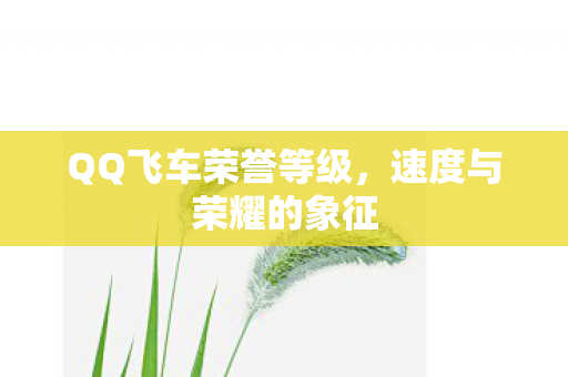 QQ飞车荣誉等级图片