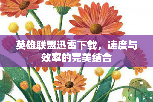 速度与效率的完美结合图片