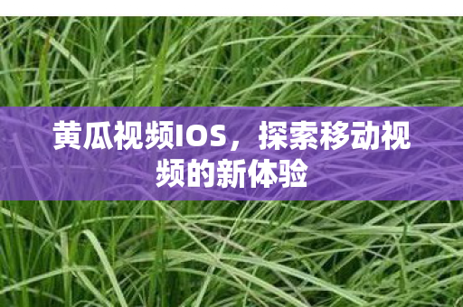 探索移动视频的新体验图片