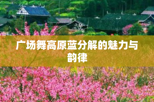 广场舞高原蓝分解的魅力与韵律图片