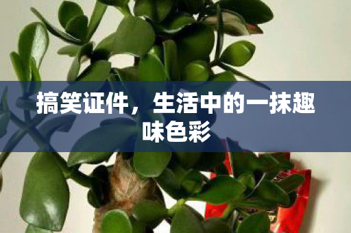 生活中的一抹趣味色彩图片