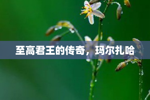 至高君王的传奇图片