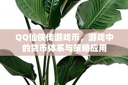 游戏中的货币体系与策略应用图片