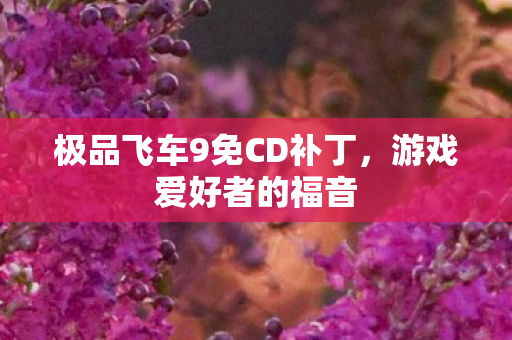 极品飞车9免CD补丁图片