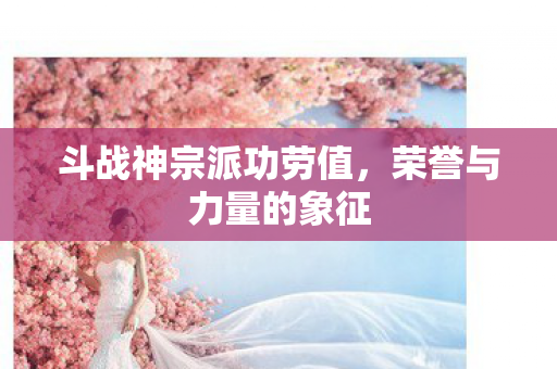 斗战神宗派功劳值图片