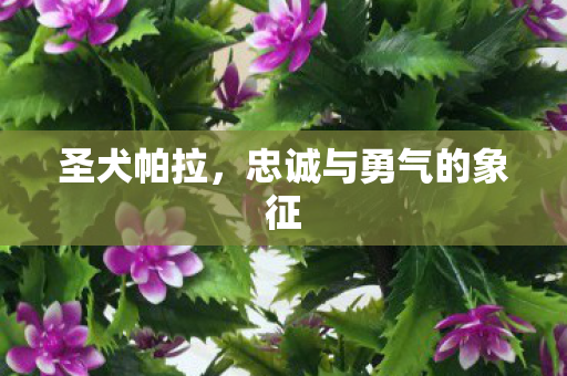 忠诚与勇气的象征图片