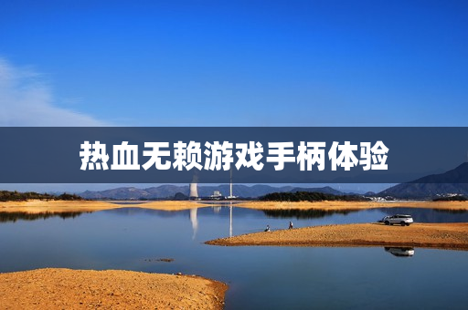 热血无赖游戏手柄体验图片