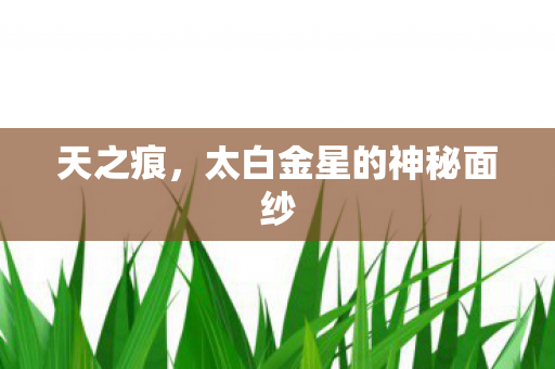 太白金星的神秘面纱图片