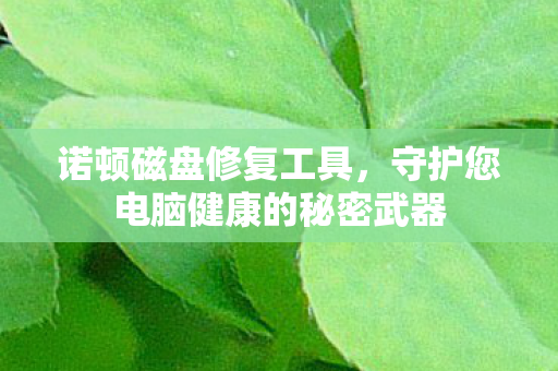 守护您电脑健康的秘密武器图片