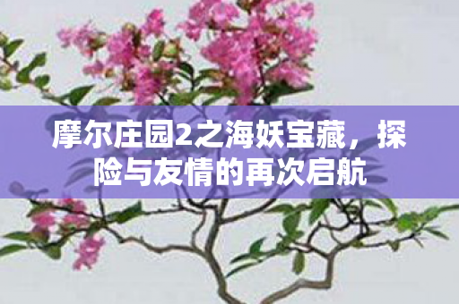 摩尔庄园2之海妖宝藏图片