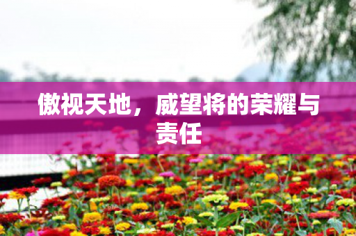 威望将的荣耀与责任图片