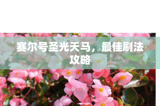 赛尔号圣光天马图片
