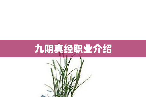 九阴真经职业介绍图片