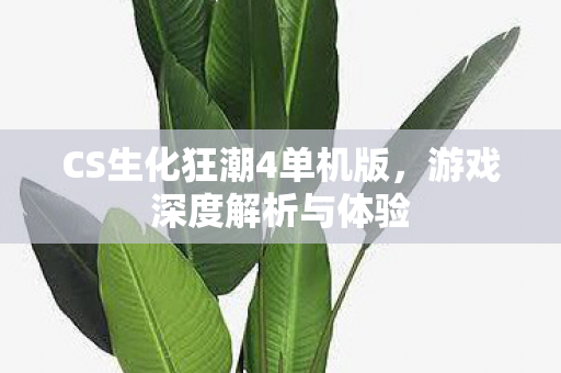 CS生化狂潮4单机版图片