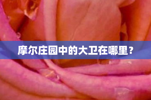 摩尔庄园中的大卫在哪里图片