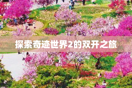 探索奇迹世界2的双开之旅图片