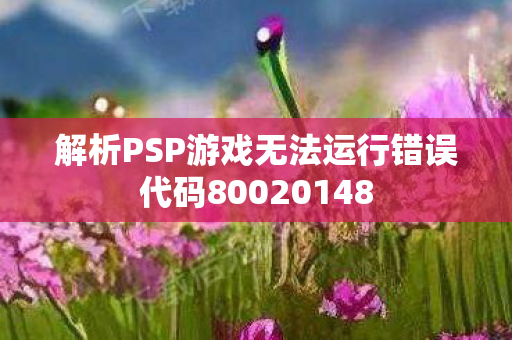 解析PSP游戏无法运行错误代码80020148图片