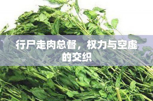 权力与空虚的交织图片