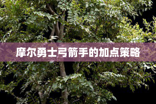 摩尔勇士弓箭手的加点策略图片