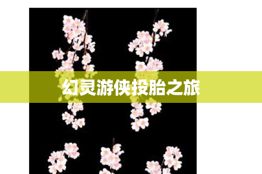 幻灵游侠投胎之旅图片