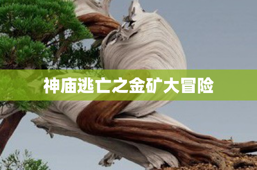 神庙逃亡之金矿大冒险图片