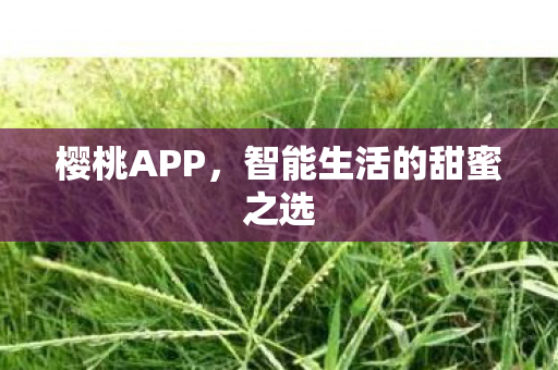 智能生活的甜蜜之选图片
