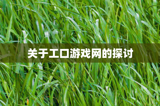 关于工口游戏网的探讨图片