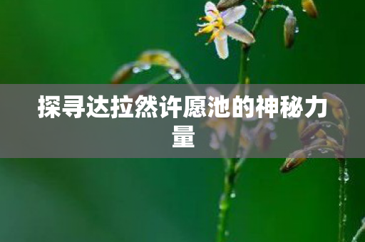 探寻达拉然许愿池的神秘力量图片
