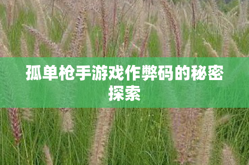 孤单枪手游戏作弊码的秘密探索图片