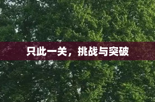 挑战与突破图片