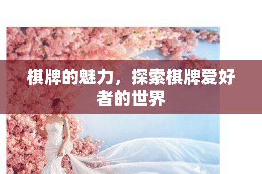 探索棋牌爱好者的世界图片