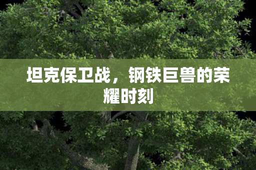 钢铁巨兽的荣耀时刻图片