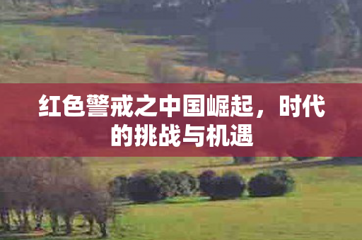 红色警戒之中国崛起图片