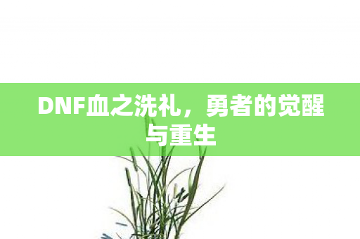 勇者的觉醒与重生图片