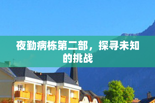 夜勤病栋第二部图片