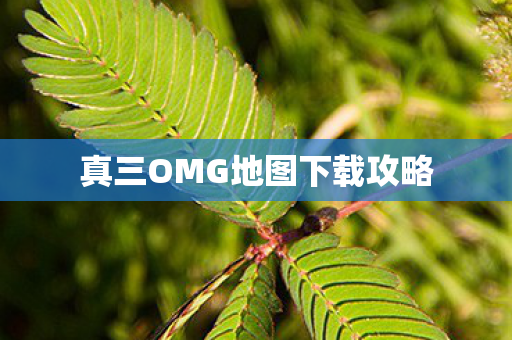 真三OMG地图下载攻略图片