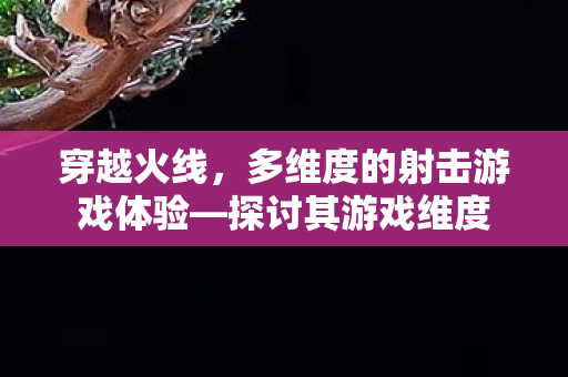 多维度的射击游戏体验图片