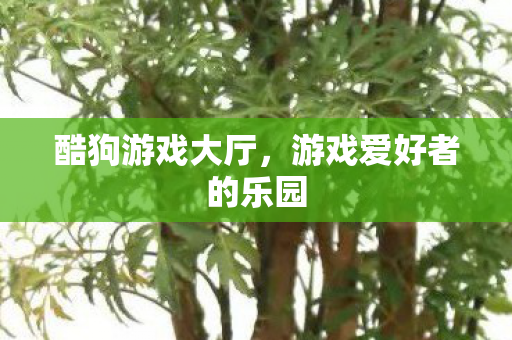 游戏爱好者的乐园图片
