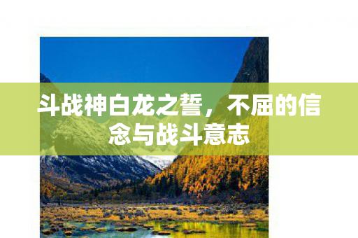 不屈的信念与战斗意志图片