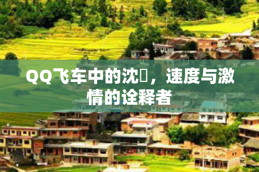 速度与激情的诠释者图片