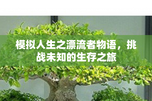 模拟人生之漂流者物语图片