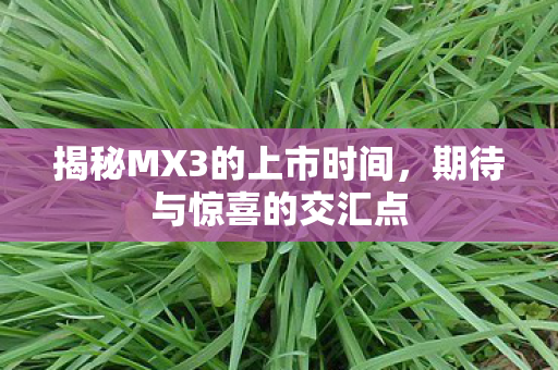 揭秘MX3的上市时间图片